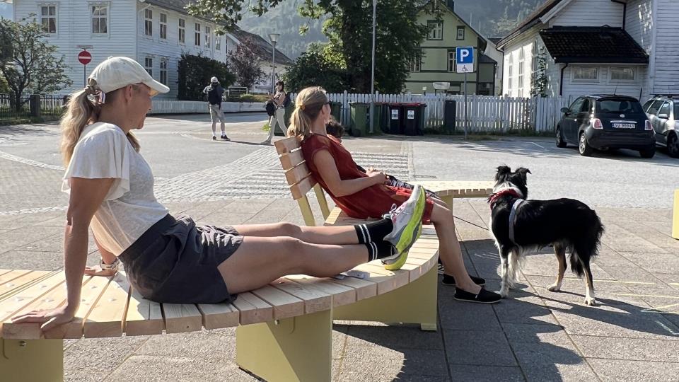 Lenkje til artikkel: Velkomen til offisiell opning av det nye torget i Eidsgata!