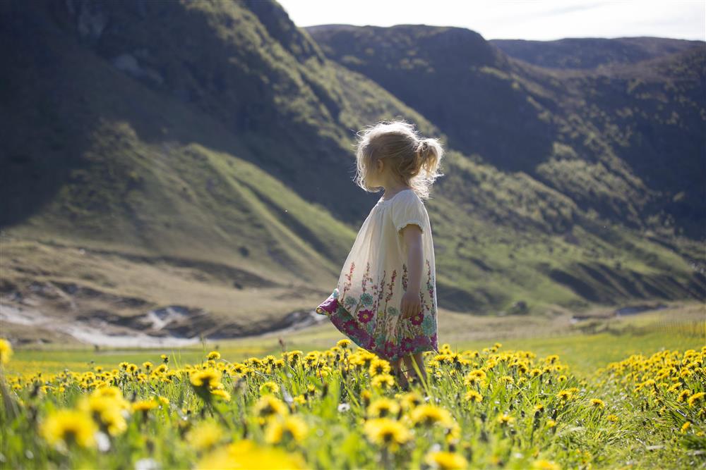 Klikk for stort bilete