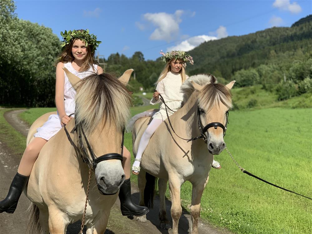 Klikk for stort bilete